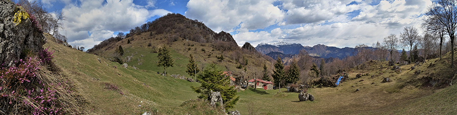 MONTE ZUCCO, anello da casa...una festa di fiori (17mar21)